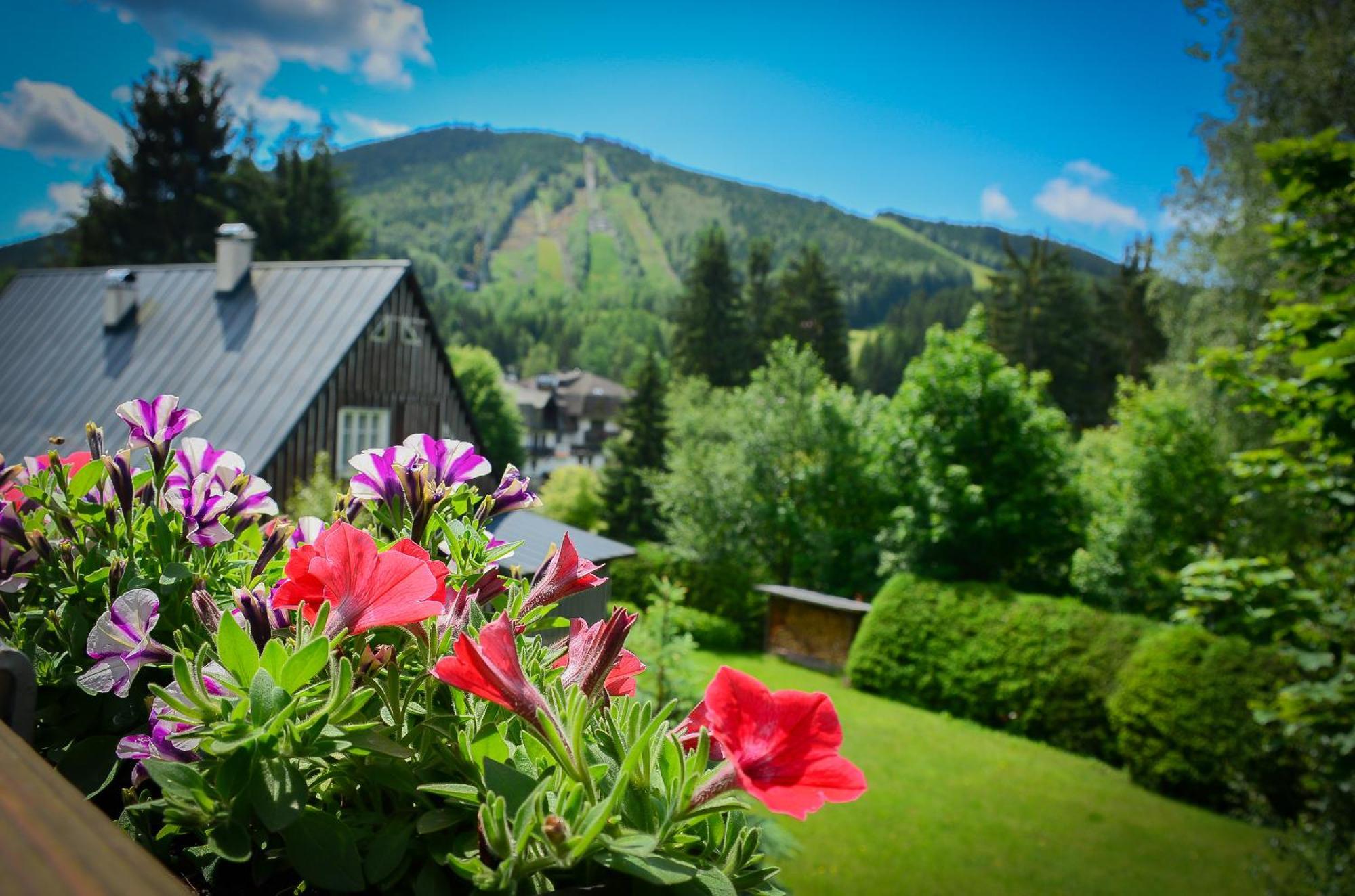 Hotel Friuli Harrachov Exteriör bild